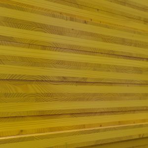 Tricapa Pino Radiata/Abeto