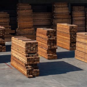 Cedro Canadá (Cedro Rojo del Pacífico)