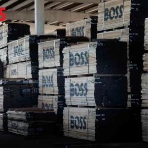 Roble Blanco Americano