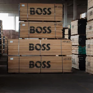 Roble Blanco Americano